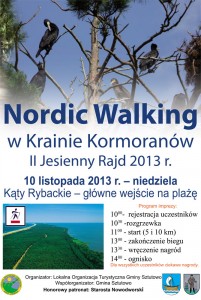 nordicwalking_2013