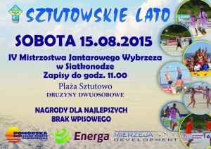 alternate text for image