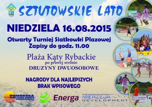 alternate text for image